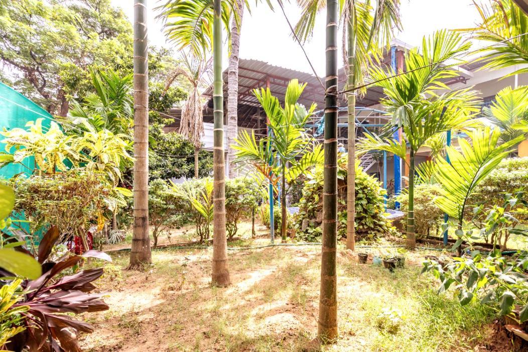 Casanova By The Sea - Just A Walk Away To Canacona Beach Bãi biển Bãi biển Palolem Ngoại thất bức ảnh